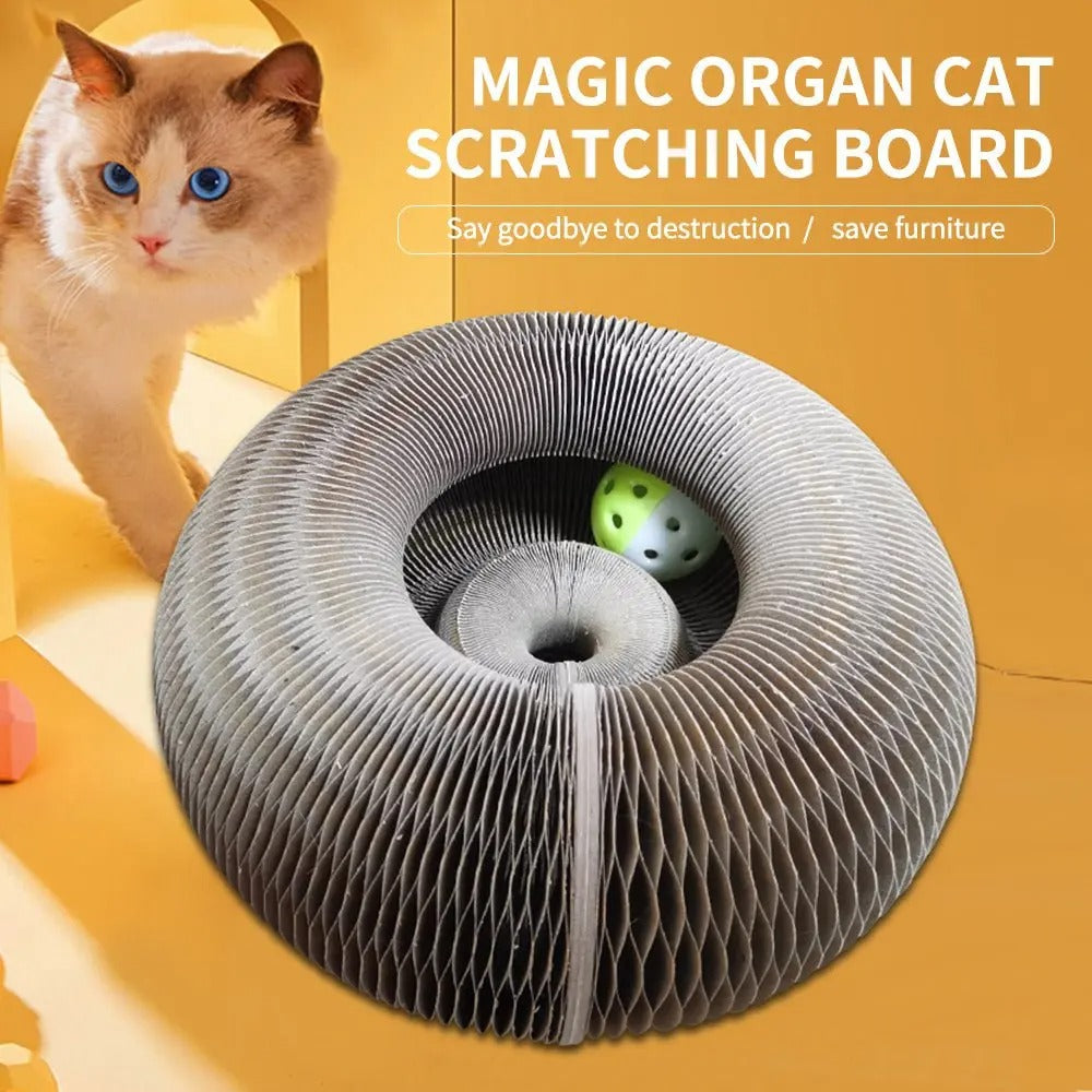 Foldable cat toy