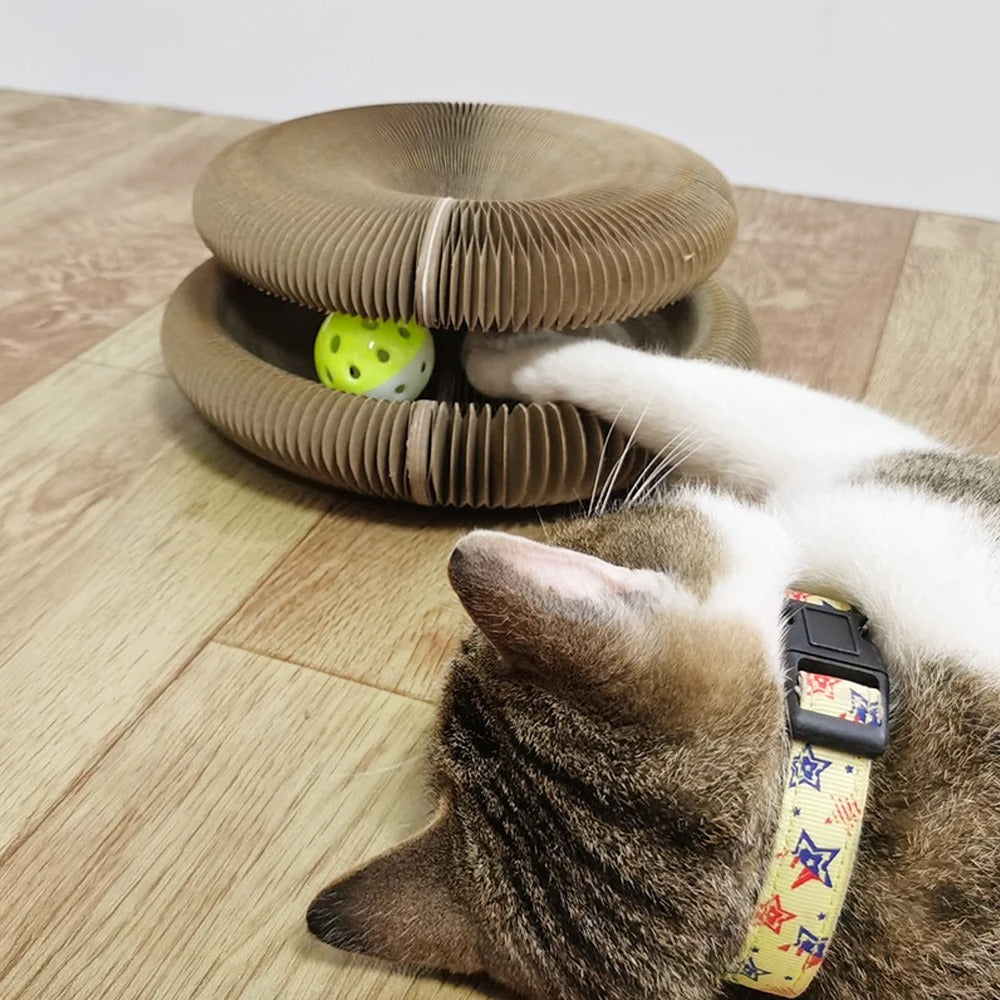 Foldable cat toy